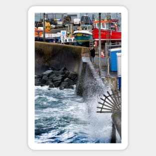 Photographer on the seafront  - Seahouses, Northumberland, UK Sticker